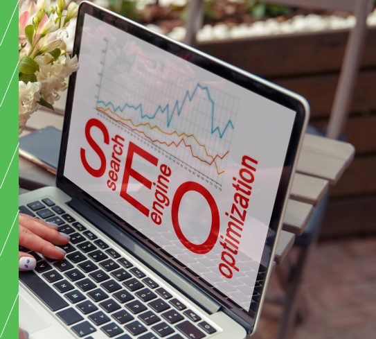 Tampa SEO